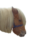 Miniature Shetland Ponies for Sale from Weybridge Surrey Breeders